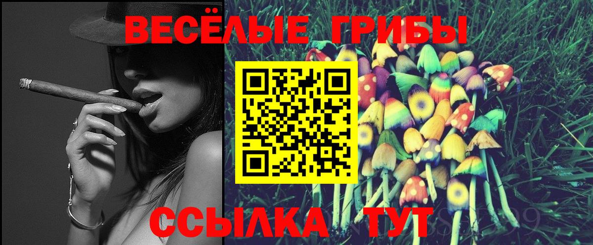 Псилоцибиновые грибы мицелий Полевской